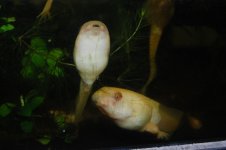 DSC_0020.jpg