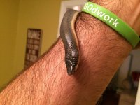 IMG_3289.jpg