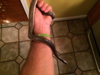 IMG_3285.jpg