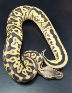 leo cali past 21-07.jpg