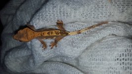 20160310_160440.jpg