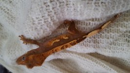 20160310_160511.jpg