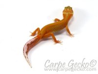 15.09.2 copy.jpg