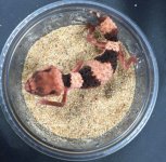 20160417_001635.jpg