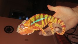 20160513_132846.jpg