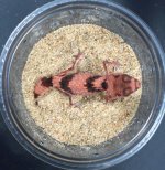 20160417_001700.jpg
