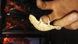 20160513_134438.jpg