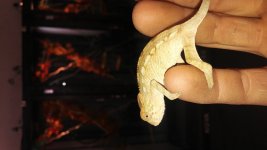 20160513_134405.jpg