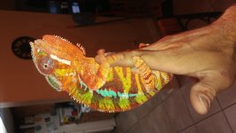 20160513_132853.jpg