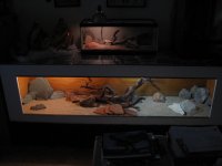 IMG_7131.jpg