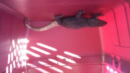 20160417_174049.jpg