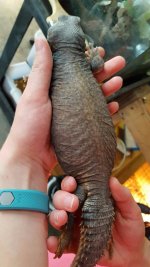 20160706_174231_resized.jpg
