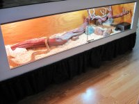 IMG_7727.jpg
