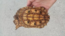 20160305_114721.jpg