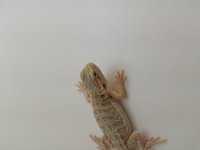 20160409_130015.jpg