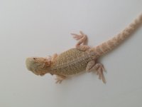 20160413_125436.jpg