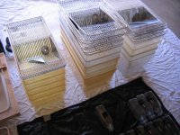 IMG_2285.jpg