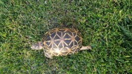 20160610_191415.jpg