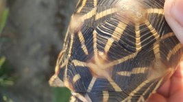 20160610_191443.jpg