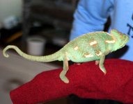 IMG_1459.jpg