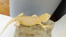 DSC00836.jpg