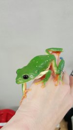 20160225_153013.jpg