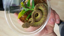 20160314_211945.jpg