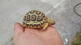 20160305_161809.jpg