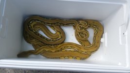 20160427_162517.jpg
