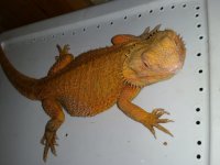20160720_210918.jpg
