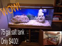 aquarium2.jpg