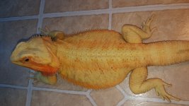 20160707_133759.jpg