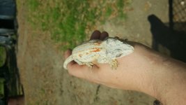 20160305_104549.jpg