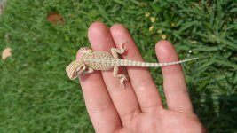 20160404_123142.jpg
