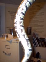 100_0394.jpg