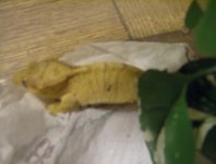 cresties 6-9-10 046.jpg