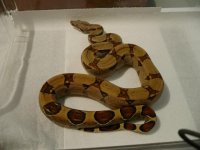 9 8 2010 010.JPG