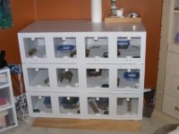 Gecko Tanks 003 shrink.jpg