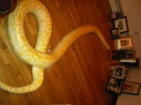 IMG01897-20100921-0155.jpg