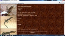 doreanus.jpg