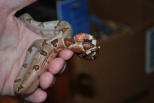 2010 babies 034.jpg