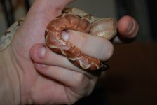 2010 babies 036.jpg