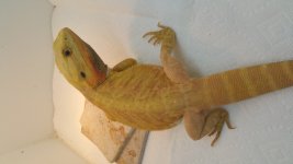 20150529_204746.jpg