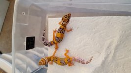 20160727_123338.jpg