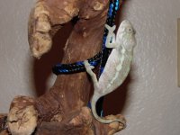 SAM_0469.jpg