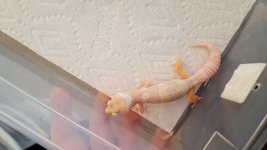 20160727_123327.jpg