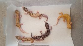 20160727_124839.jpg