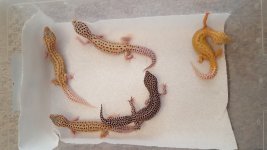 20160727_124837.jpg