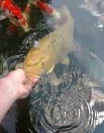 IMG_20160527_223823.jpg