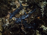 20160125_041016.jpg